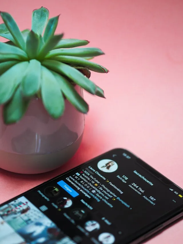 o que postar no Instagram da empresa e como fazer o mídia kit da empresa